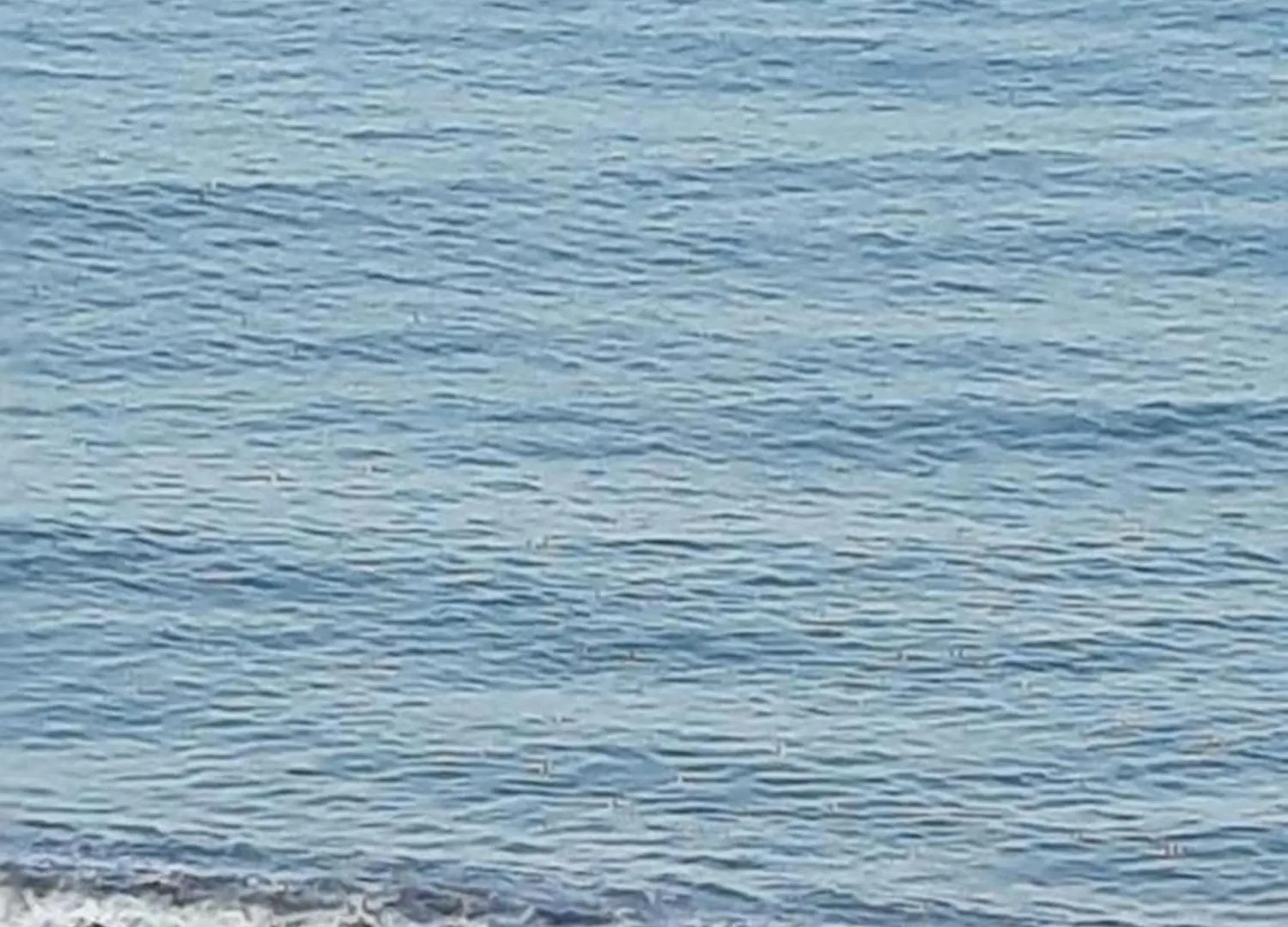 Apartment 1718 By The Sea باتومي
